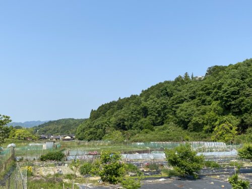 周辺の風景