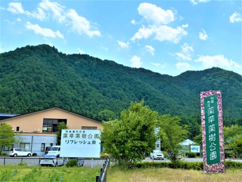 丹波市立薬草薬樹公園 丹波市立薬草薬樹公園