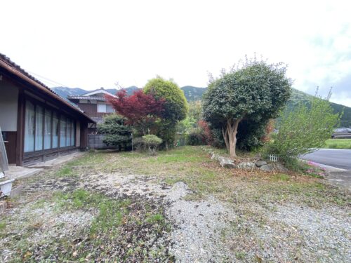 庭