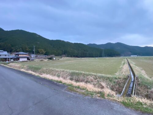 田