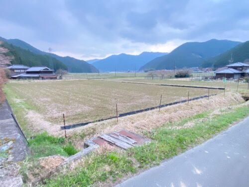田